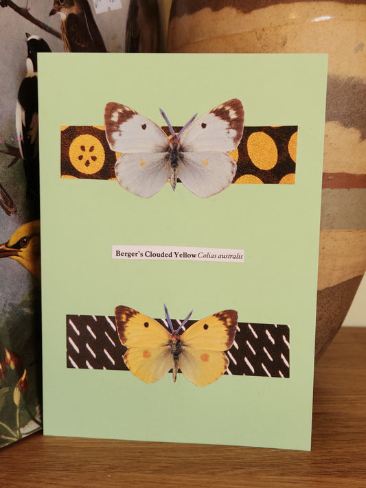 A light green greeting card featuring a collage of two butterflies and patterned strips, with a small label reading 'Berger's Clouded Yellow Colias australis', photographed on a wooden surface.
