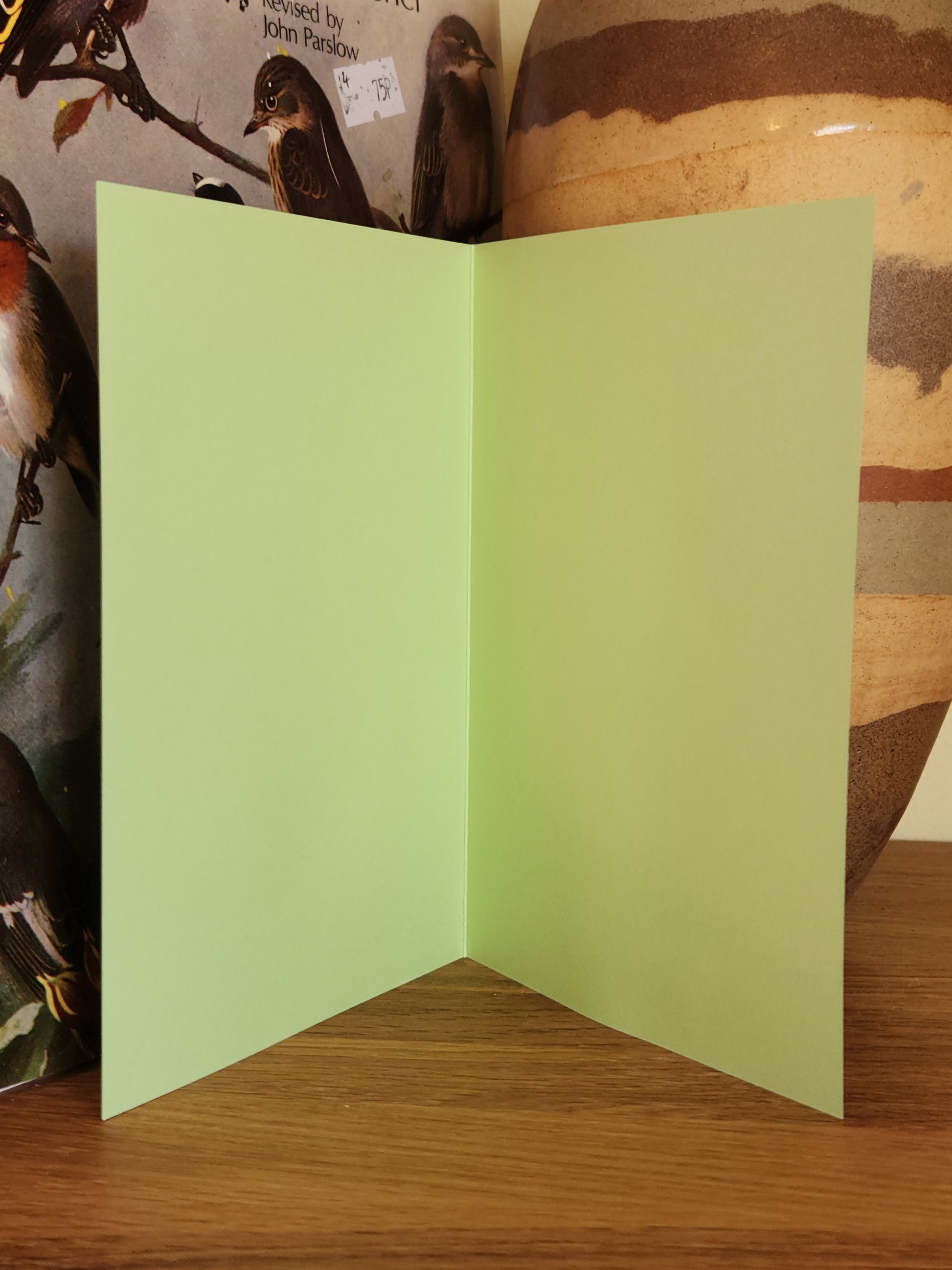 Blank inside of a pale green A6 greeting card