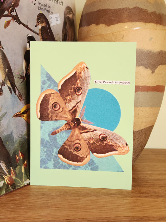 Pale green greeting card with a collage of a Great Peacock moth on a teal circle and teal patterned triangle, on a wooden surface, in front of a striped ceramic vase