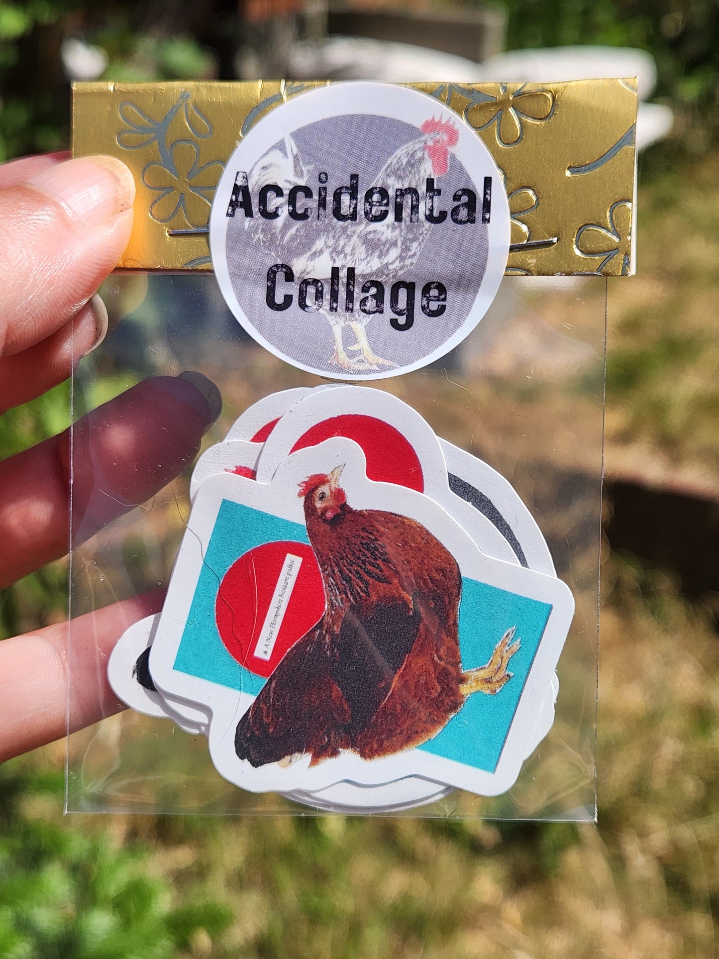 A person holds a clear plastic sleeve containing several die-cut stickers of chickens, with a round sticker label that reads 'Accidental Collage', against an outdoor blurred background.