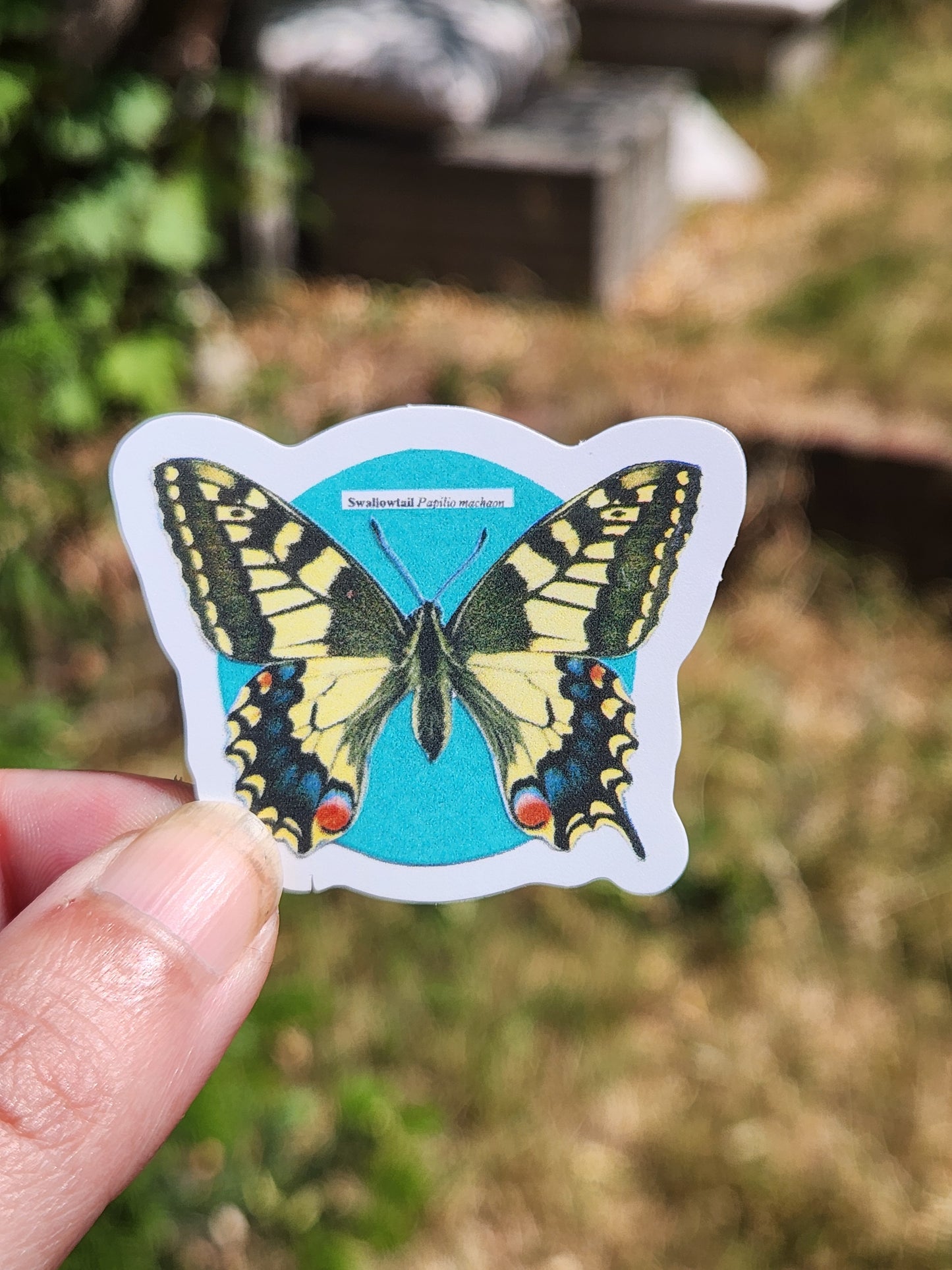 A hand holding a die-cut sticker featuring a yellow and black swallowtail butterfly on a bright turquoise background, with a blurred outdoor garden scene behind it.