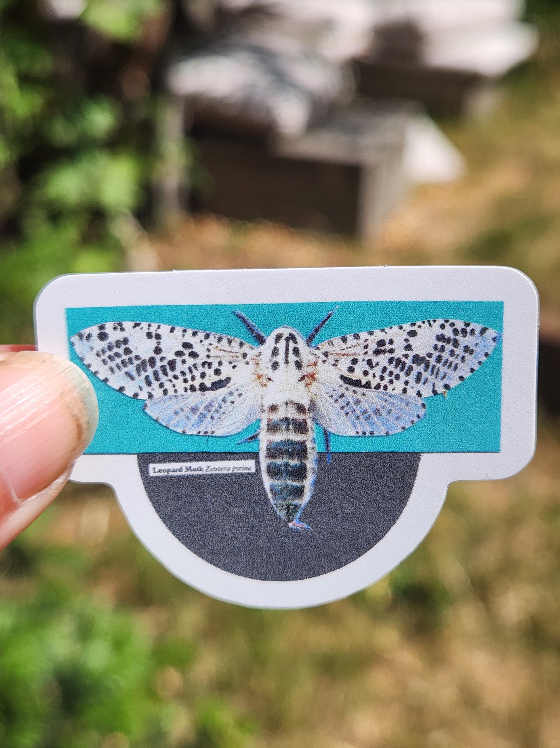 A die-cut sticker featuring a detailed image of a white moth with black spots on a turquoise background, alongside a dark gray circular element, held by a person's thumb against a blurred outdoor background.