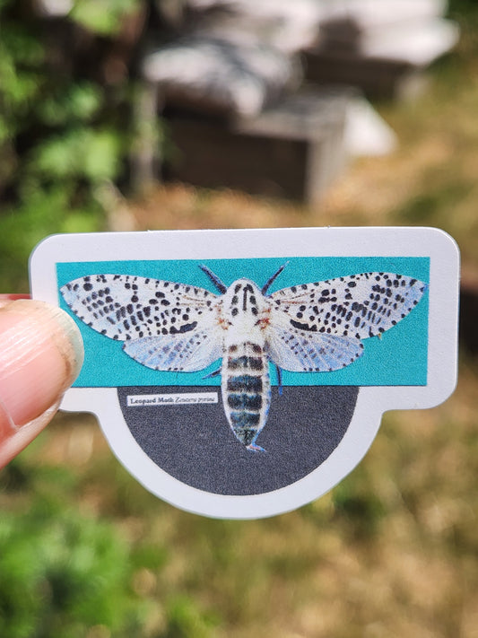 A die-cut sticker featuring a detailed image of a white moth with black spots on a turquoise background, alongside a dark gray circular element, held by a person's thumb against a blurred outdoor background.