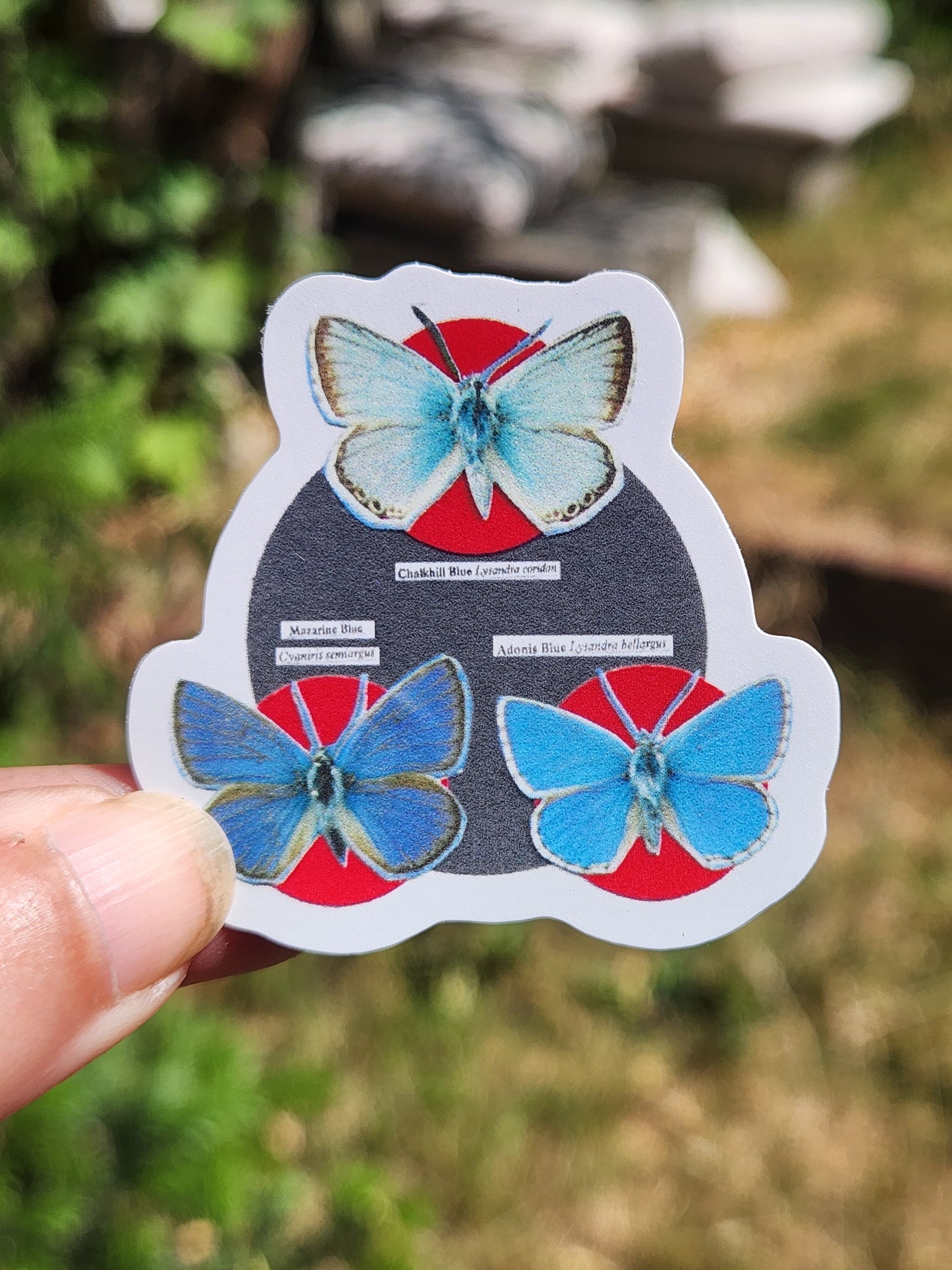 A hand holds a die-cut sticker featuring three blue butterflies arranged around a dark gray circle with red circular elements, photographed outdoors against a blurred green and brown natural background.