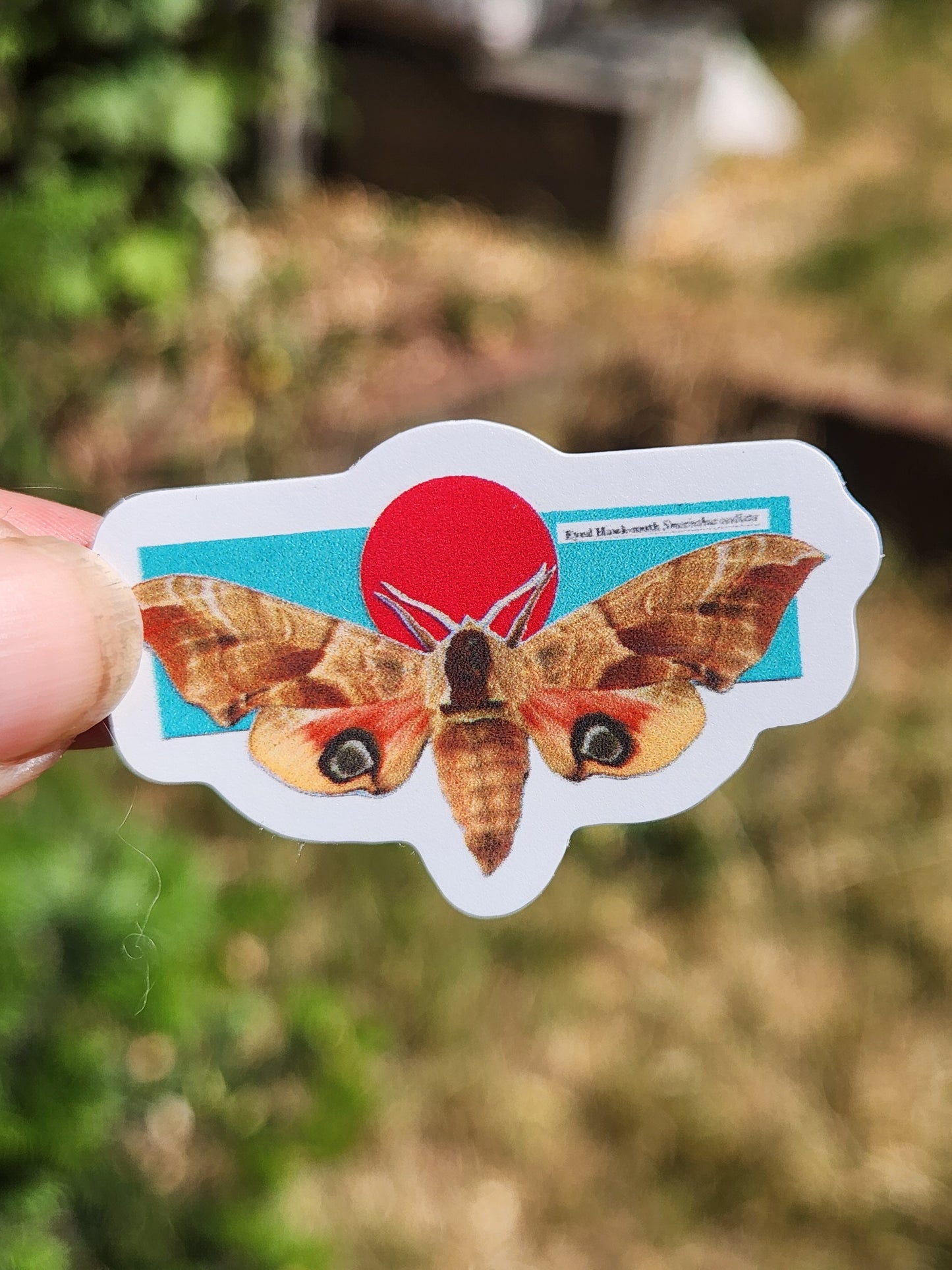A die-cut sticker featuring the image of a detailed moth over a turquoise and red graphic, held by a hand against a blurred outdoor background.