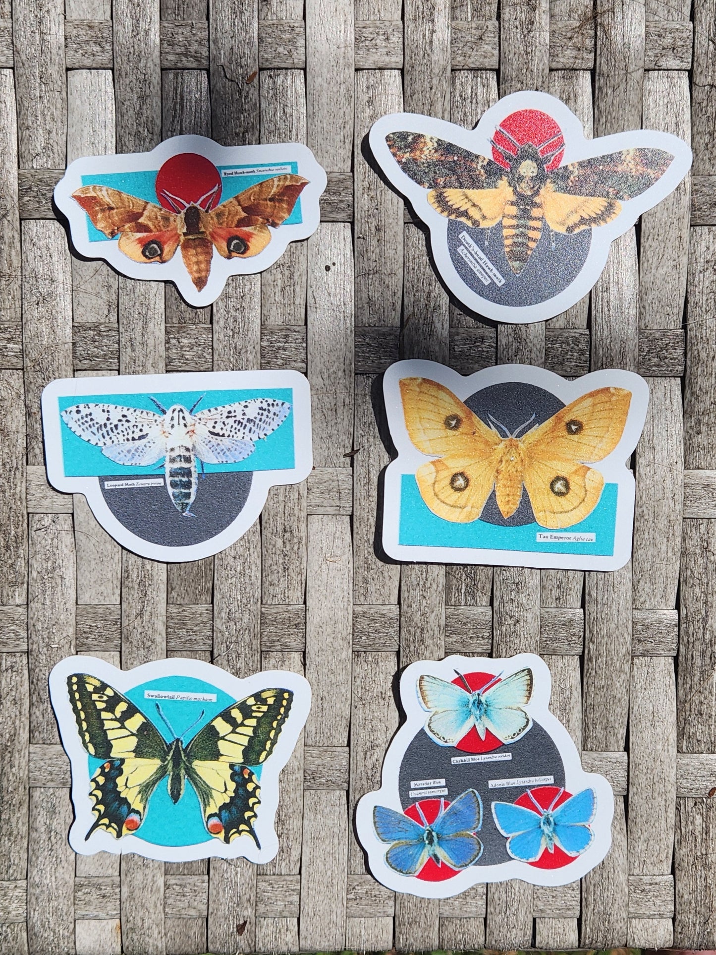 Six die-cut butterfly and moth stickers displayed on a gray surface.