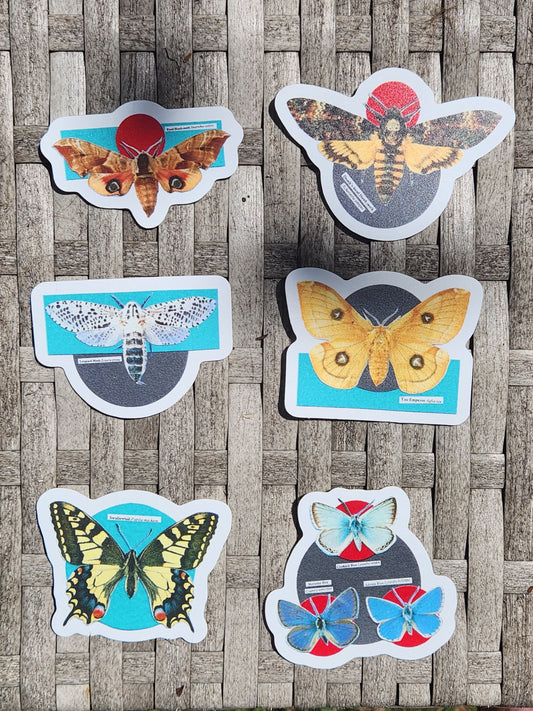 Six die-cut butterfly and moth stickers displayed on a gray surface.