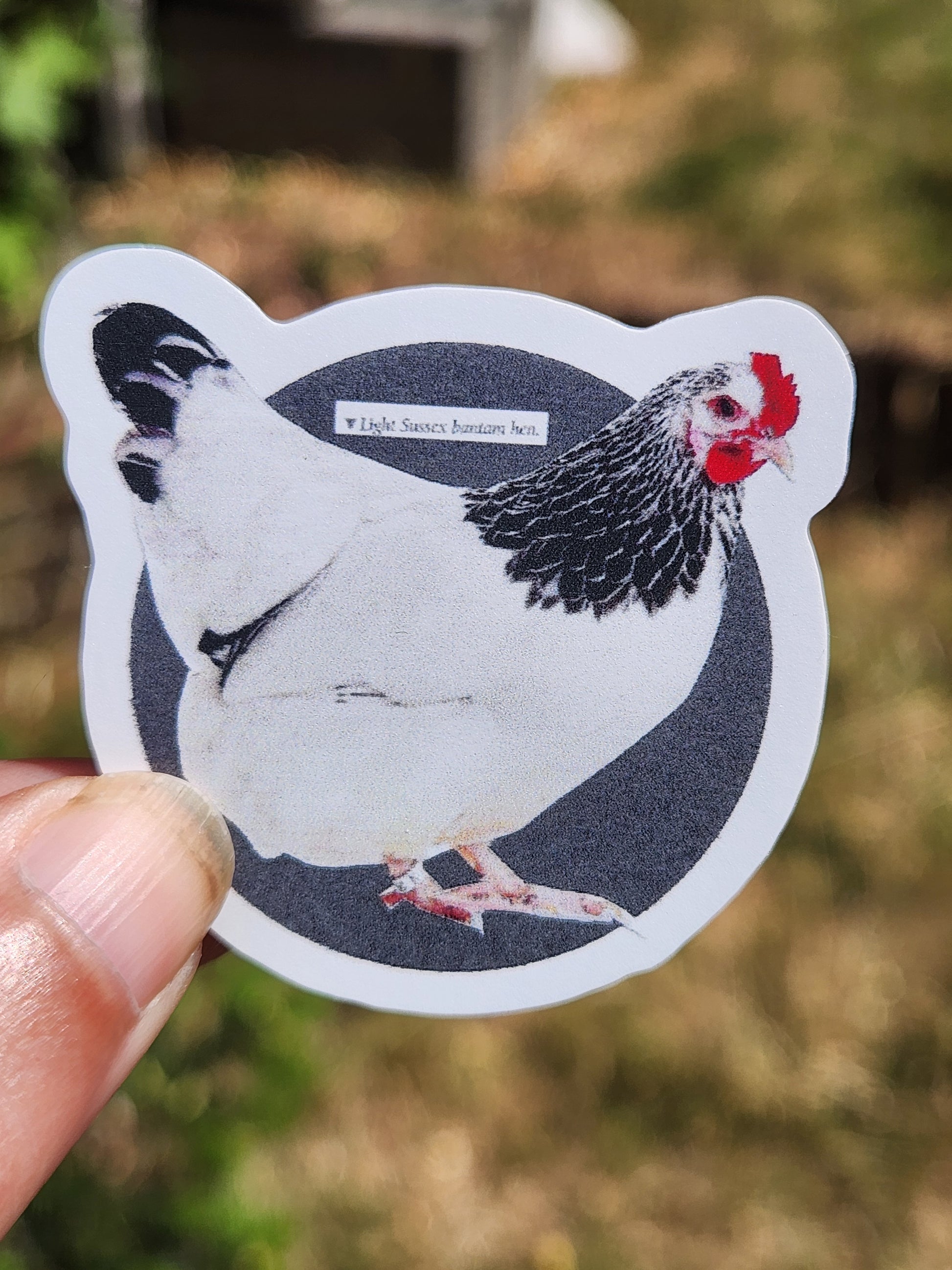 A die-cut sticker featuring a black and white chicken illustration with a red comb, held by a person's fingers against a blurred outdoor background.