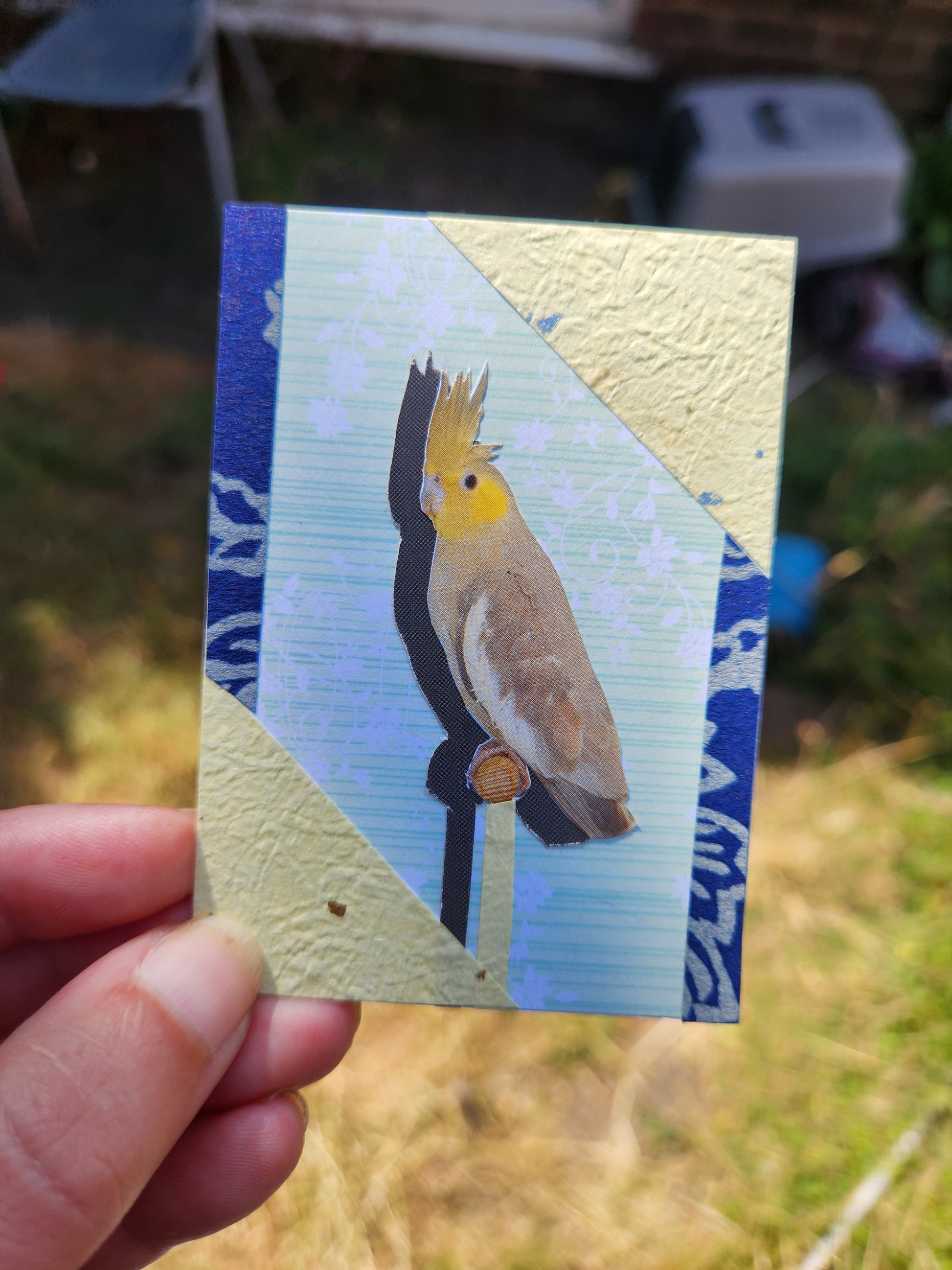 A hand holds a small rectangular collage card featuring a cockatiel perched on a branch. The artwork has a textured cream and blue patterned background, and the scene is photographed outdoors with blurred grass and objects in the background.