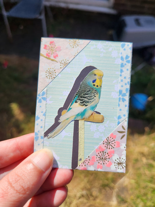 A hand holding a small rectangular decorative card featuring a collage of a budgie in the center with floral patterned corners, photographed outdoors against a blurred grassy background.