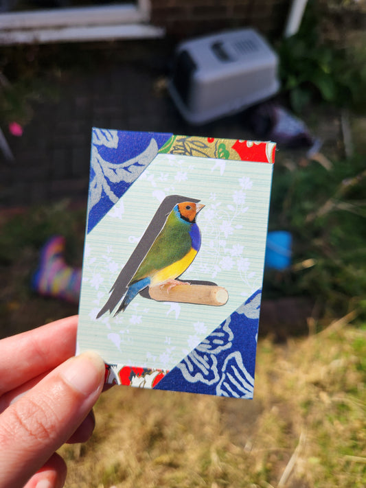 A hand holds a small rectangular card featuring a colorful bird collage over a pale green and blue patterned background, with an outdoor garden scene blurred in the background.