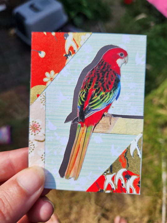 A hand holding a rectangular card featuring a collage of a colorful parrot perched on a post, with a background in pale blue, red, cream, and floral patterns. The background outside the print is blurred outdoor grass and ground.