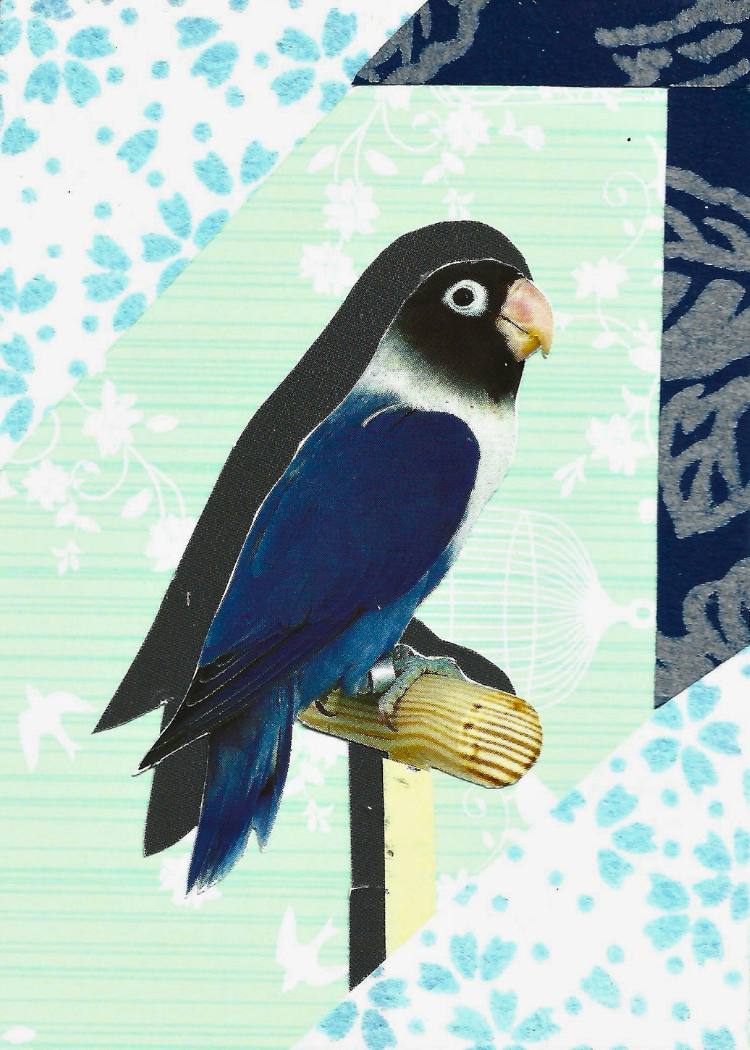 A collage card featuring a blue and black bird perched on a small wooden branch, set against layered geometric panels with floral and patterned designs in pale green, white, and navy.