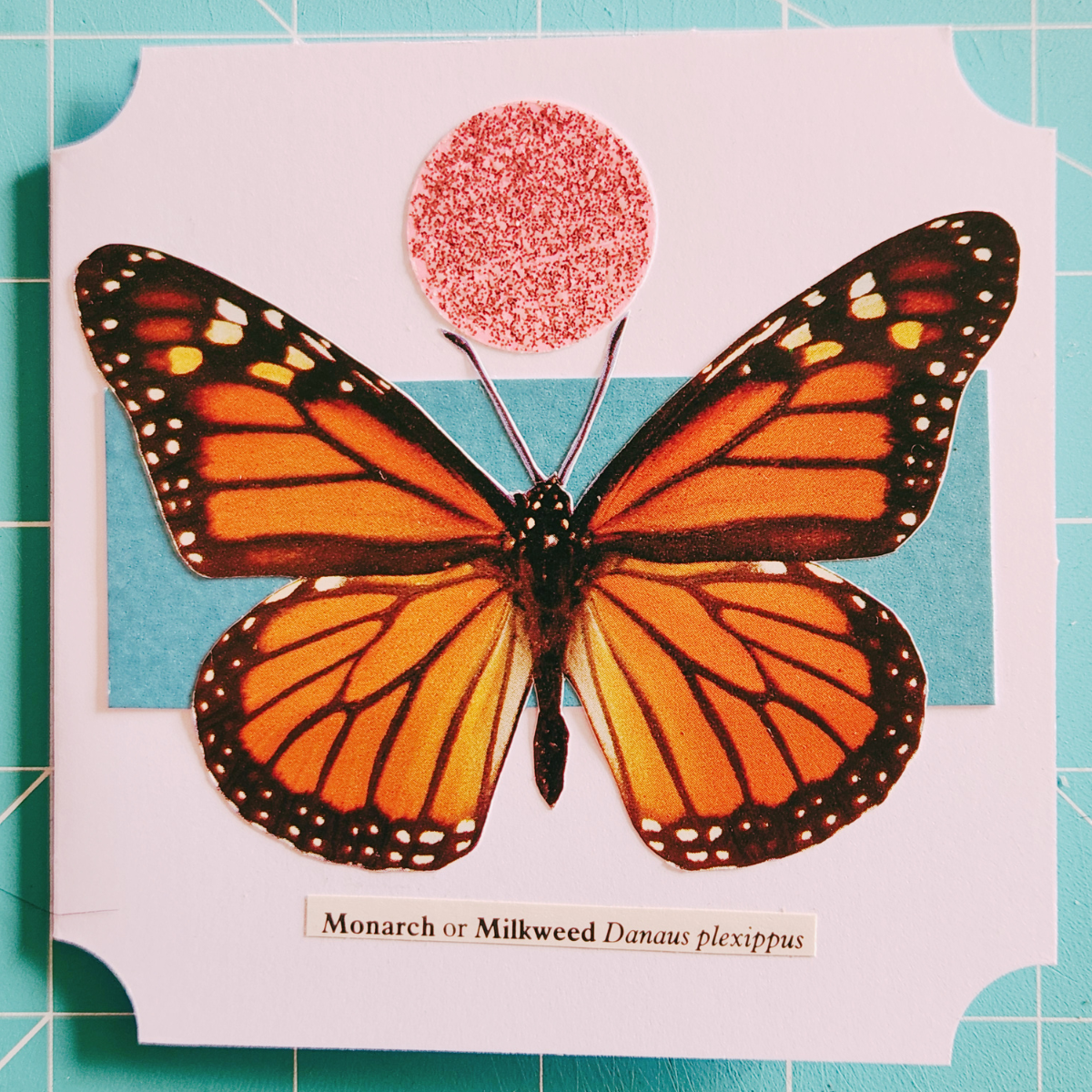Image of a monarch butterfly on a square white card with a glittery pink circle and teal stripe.