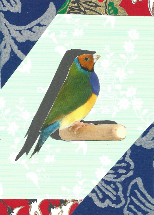 A decorative collage featuring a colorful bird perched on a small branch, set against a pale mint background with patterned blue, red, and gold corner sections.