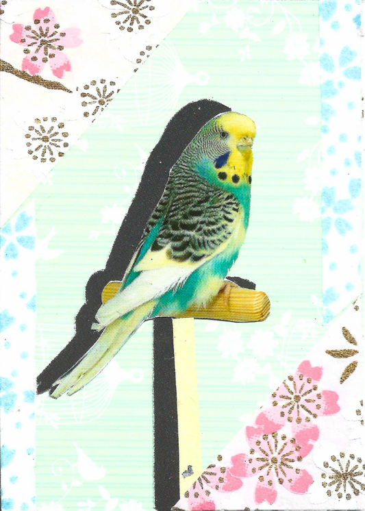 A decorative collage card featuring a budgerigar perched on a small wooden stand, set against a patterned background with pink cherry blossoms and light blue floral motifs.