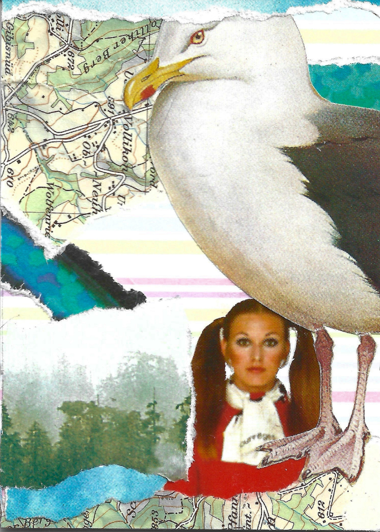 A surreal collage featuring a large white and gray seagull with a yellow beak, layered over torn map pieces, watercolor shapes, and a portrait of a woman with pigtails in a red and white outfit.