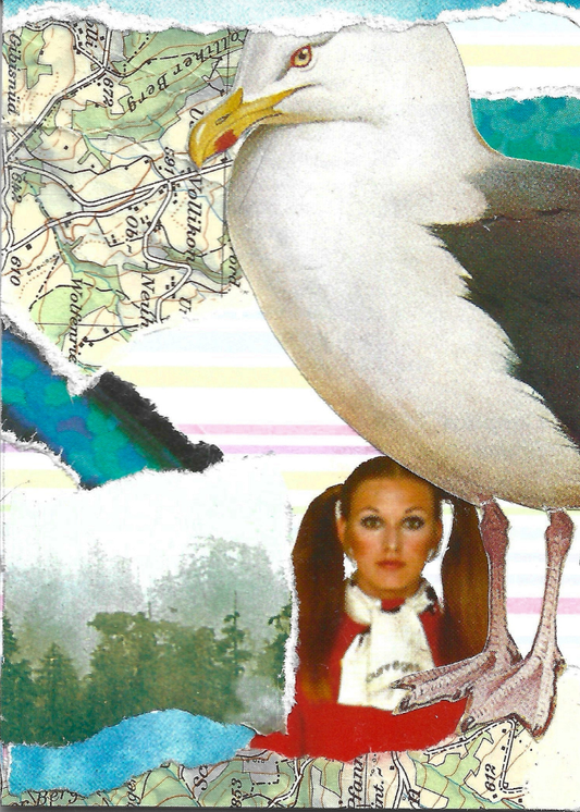 A surreal collage featuring a large white and gray seagull with a yellow beak, layered over torn map pieces, watercolor shapes, and a portrait of a woman with pigtails in a red and white outfit.
